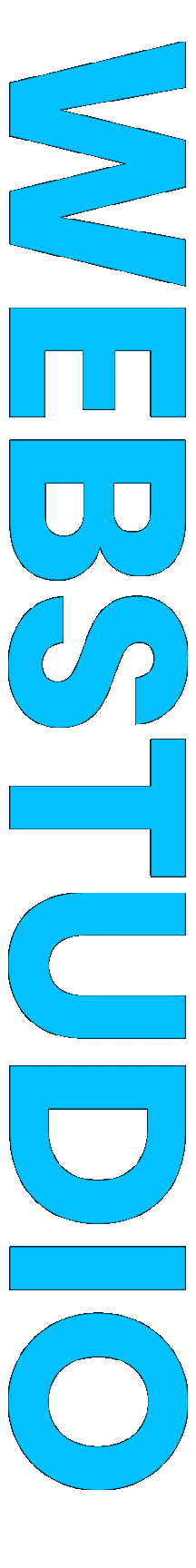 BUILDING WEBSITE